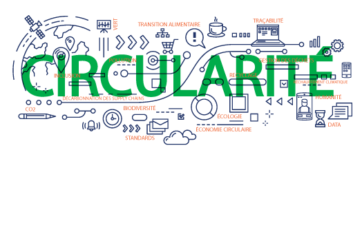 economie circulaire schema