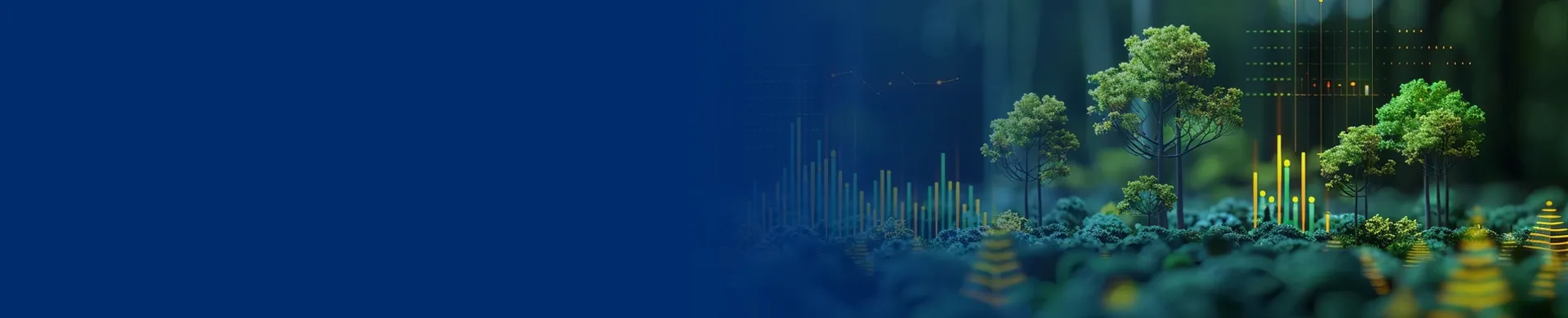 carrousel usf durabilité